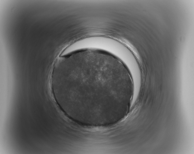 X0000099570385200805231535