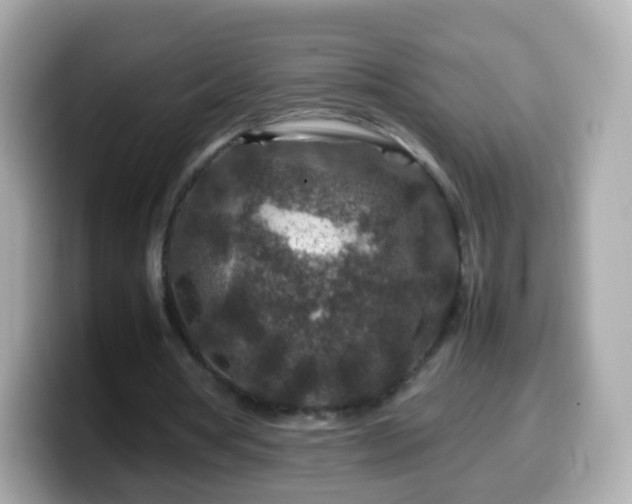 X0000099570386200805231535