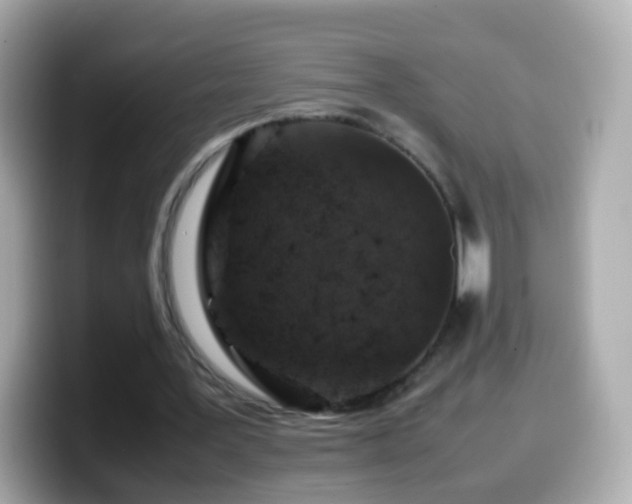 X0000099570387200805231535