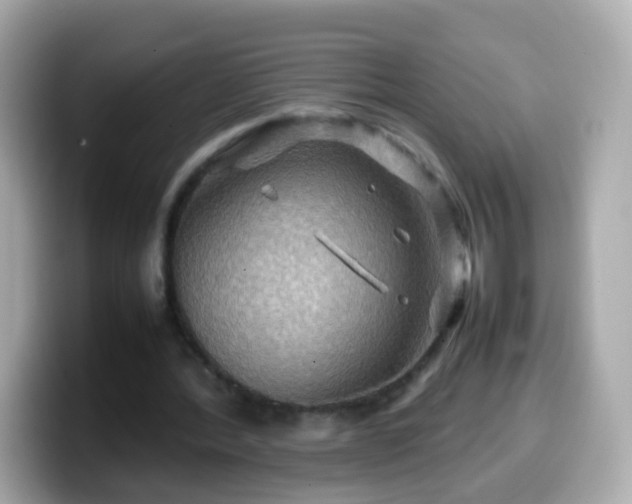 X0000099570388200805231535