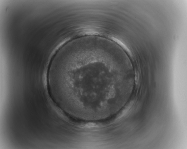 X0000099570390200805231535