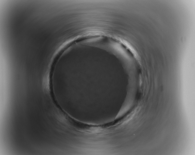 X0000099570391200805231535
