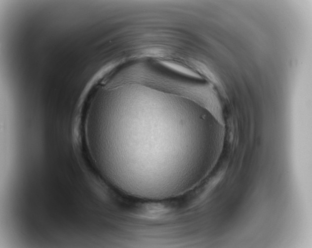 X0000099570392200805231535