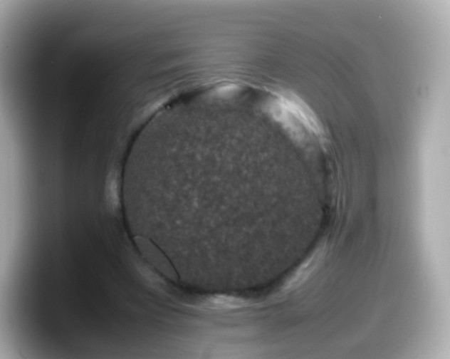 X0000099570393200805231535