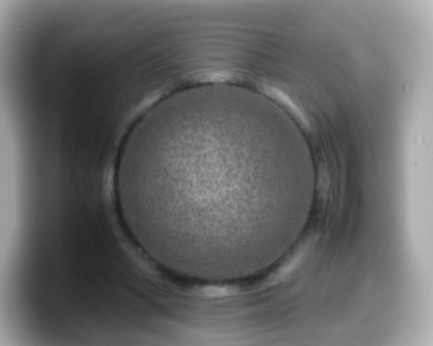 X0000099570394200805231535