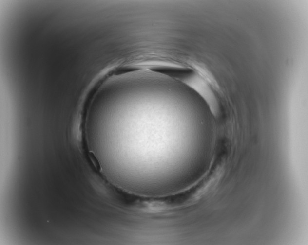 X0000099570395200805231535