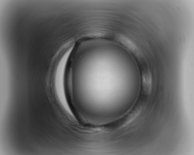 X0000099570396200805231535