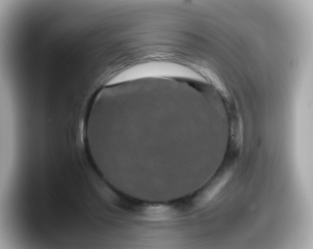 X0000099570397200805231535