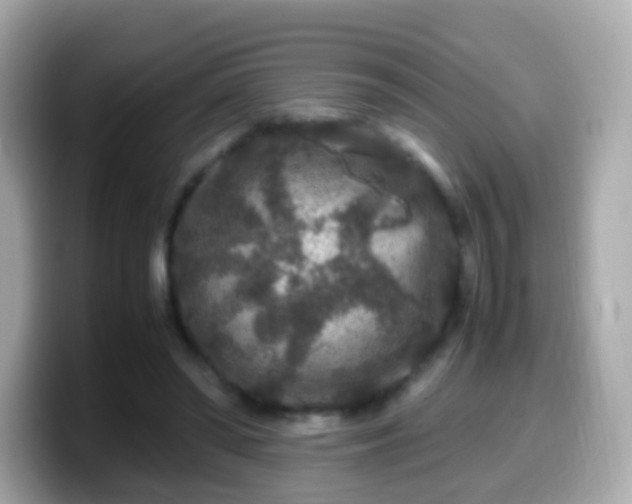 X0000099570398200805231535
