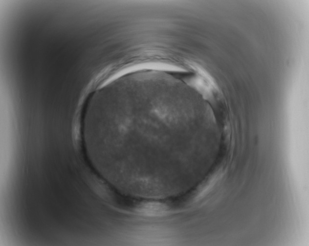 X0000099570399200805231535