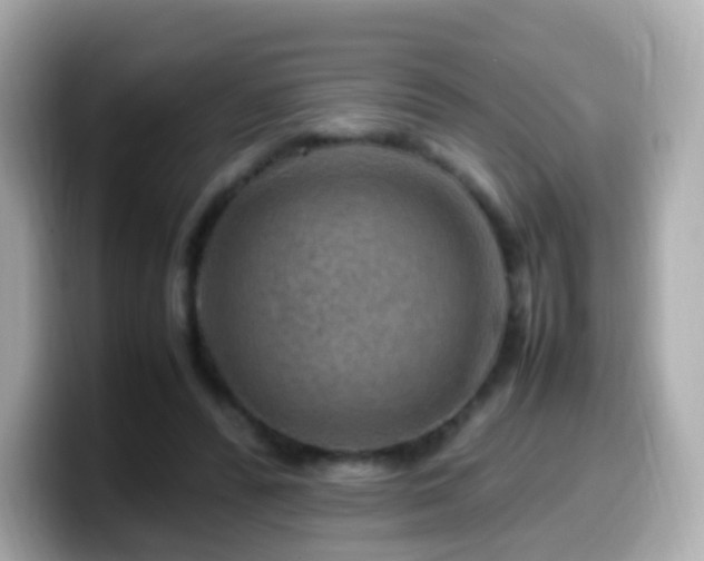 X0000099570400200805231535