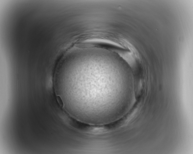 X0000099570401200805231535