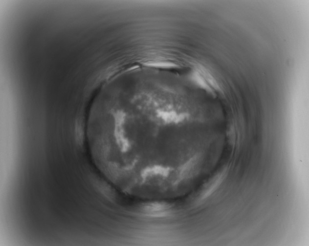 X0000099570402200805231535