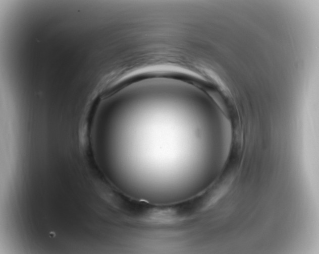 X0000099570403200805231535