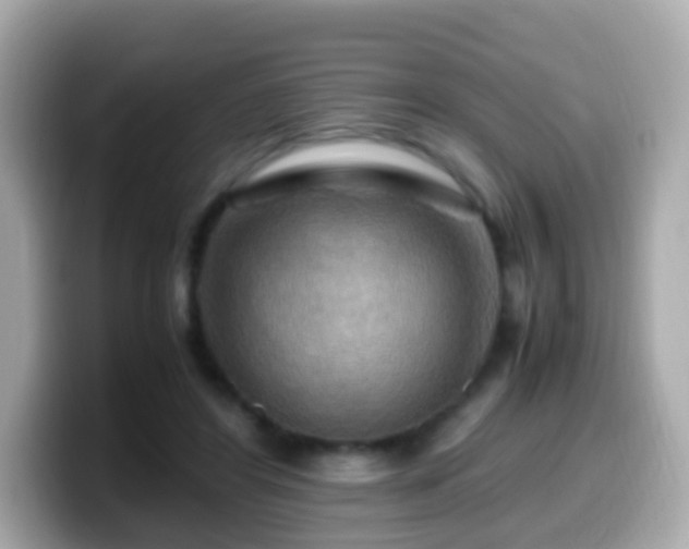 X0000099570404200805231535