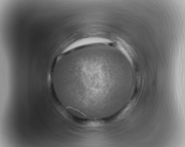 X0000099570405200805231535