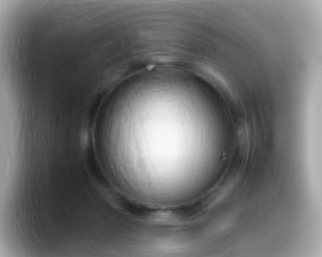 X0000099570406200805231535