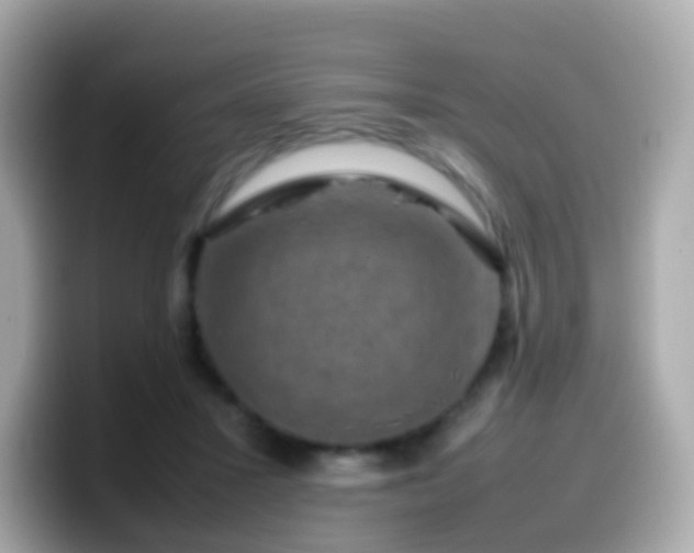 X0000099570407200805231535