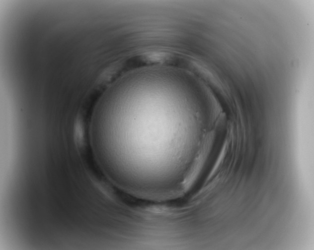X0000099570408200805231535