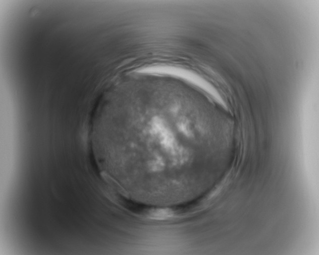 X0000099570409200805231535