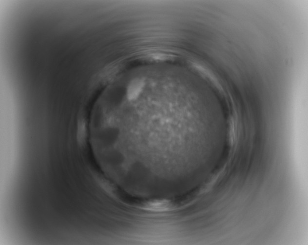 X0000099570410200805231535