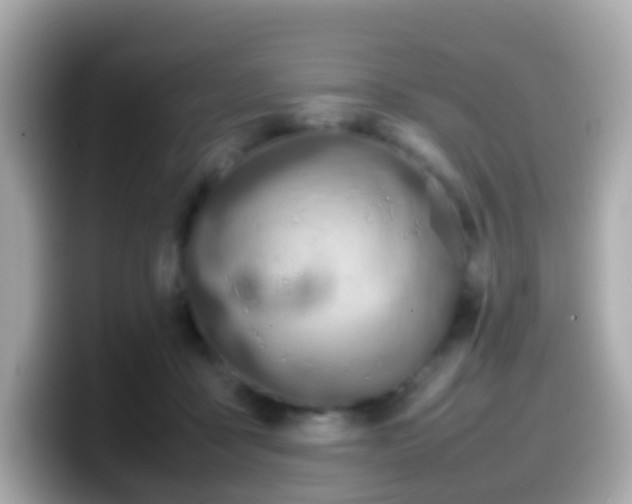 X0000099570411200805231535