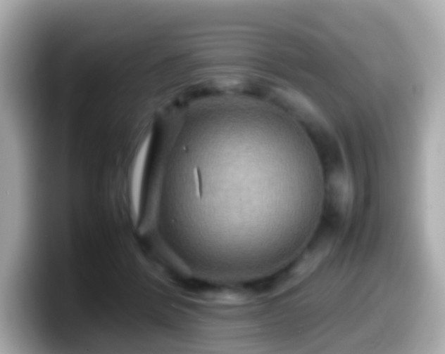 X0000099570412200805231535