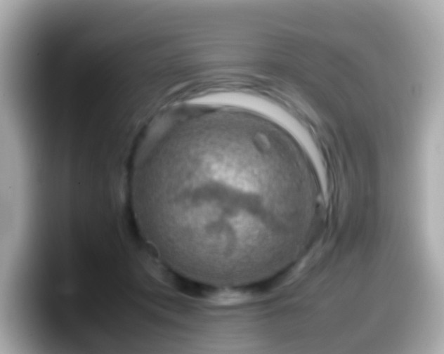 X0000099570413200805231535