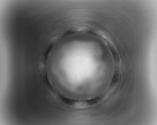 X0000099570415200805231535