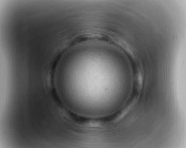 X0000099570416200805231535
