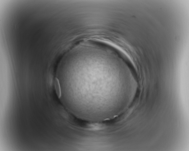 X0000099570417200805231535