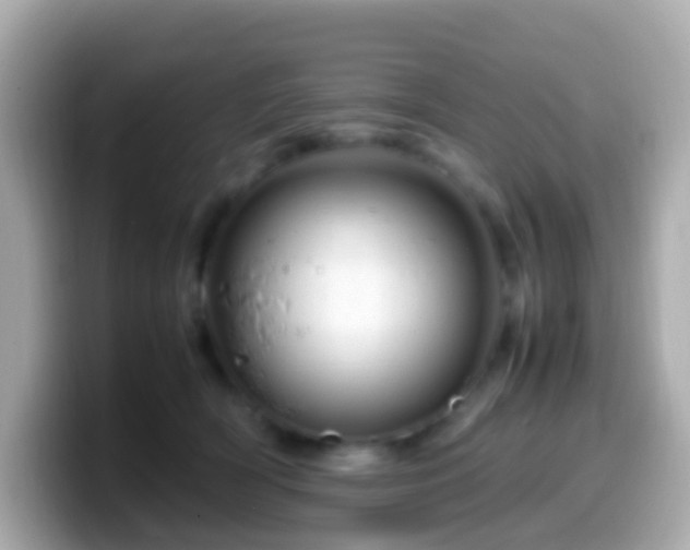 X0000099570418200805231535