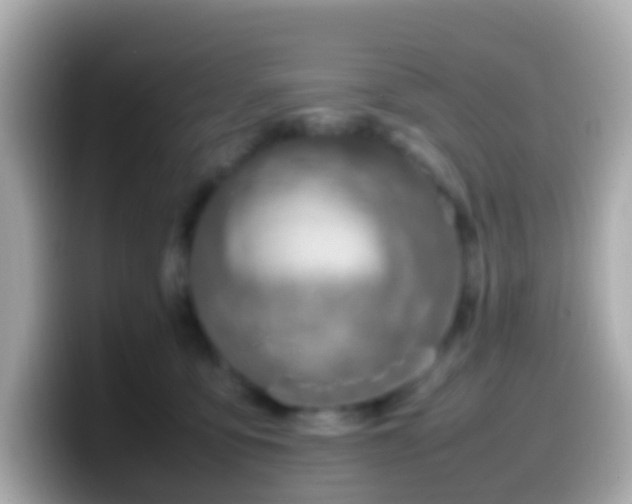 X0000099570419200805231535
