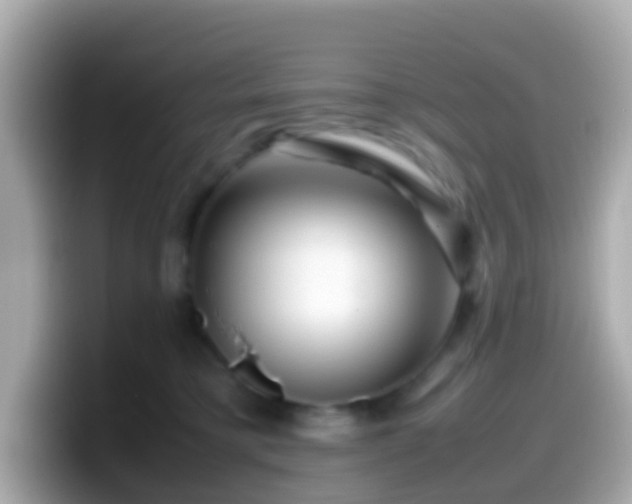 X0000099570421200805231535
