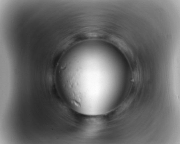 X0000099570422200805231535