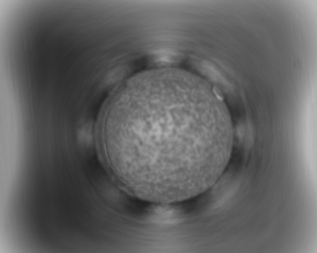 X0000099570423200805231535