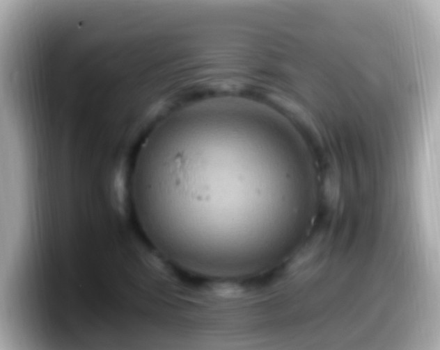 X0000099570424200805231535