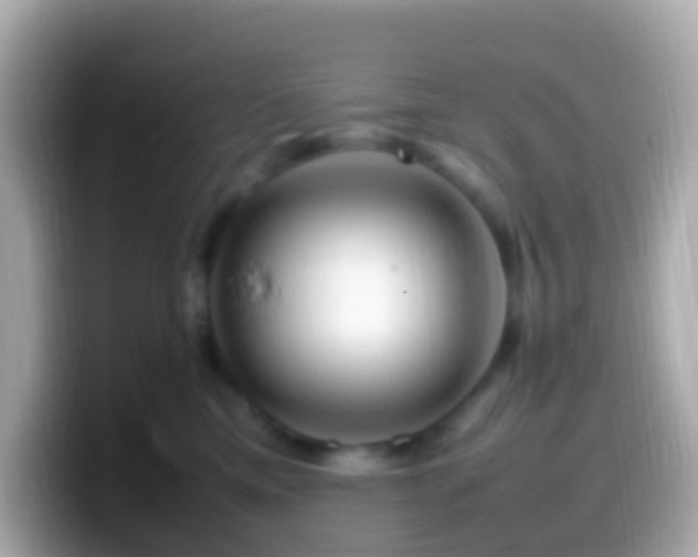 X0000099570425200805231535