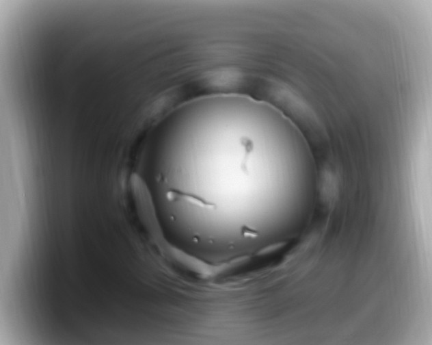 X0000099570428200805231535