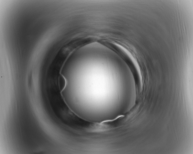 X0000099570429200805231535