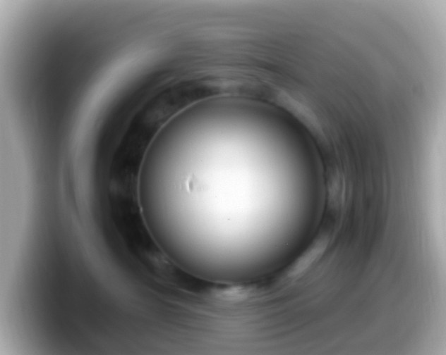 X0000099570430200805231535