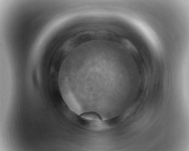 X0000099570431200805231535