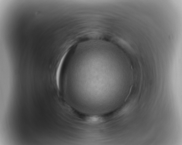 X0000099570432200805231535