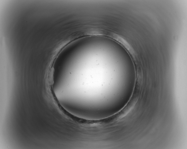 X0000099570433200805231534