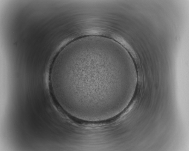 X0000099570434200805231534