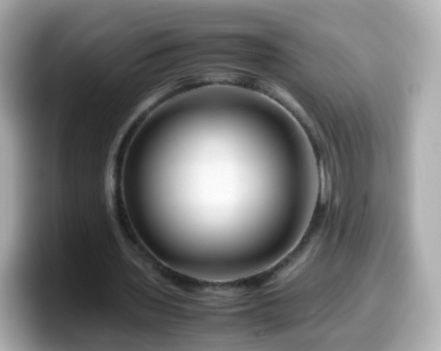 X0000099570435200805231534