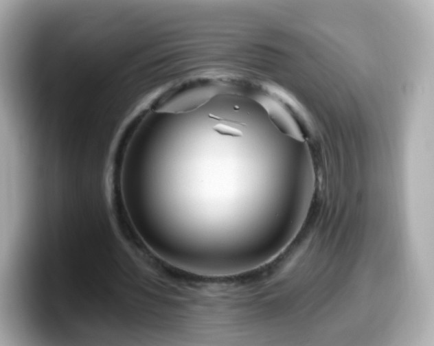 X0000099570436200805231534