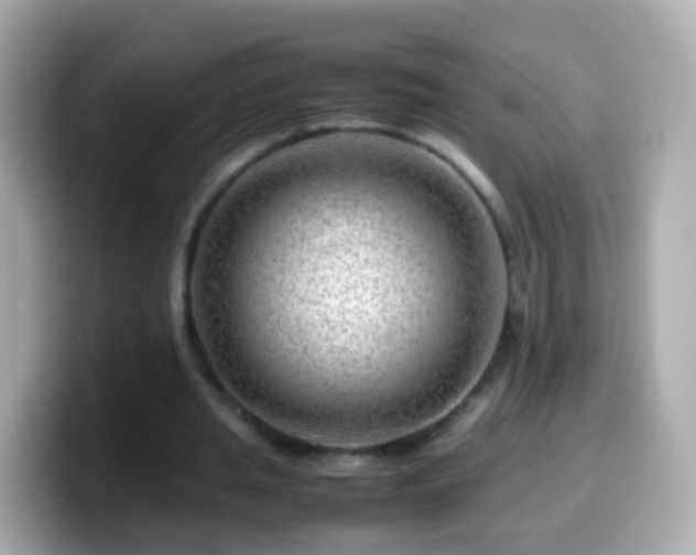 X0000099570437200805231534