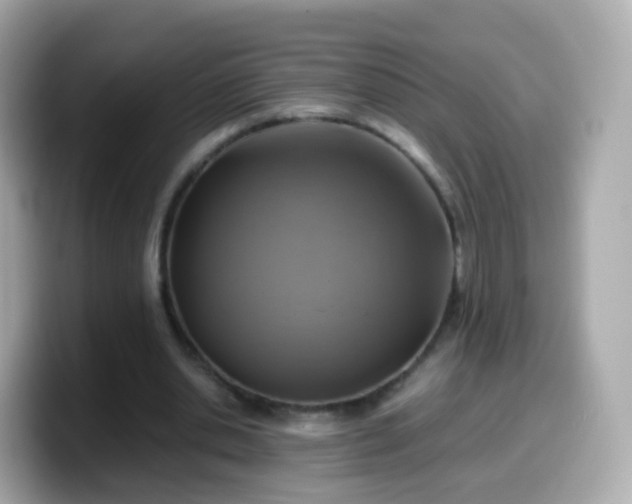 X0000099570438200805231534
