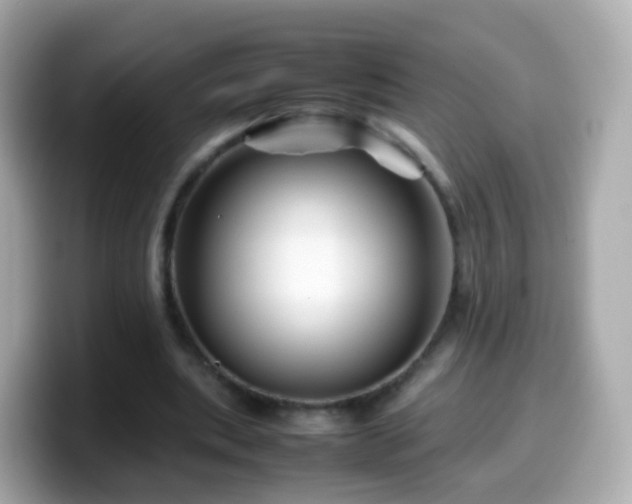 X0000099570439200805231534